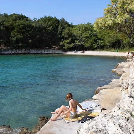 Διαμέρισμα 5464d *